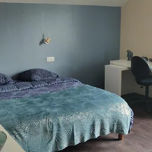 Le 135, Spacieux Entre Et Volcans Appartement